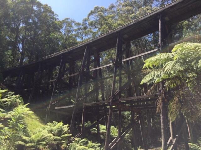 Noojee Getawayヴィラ エクステリア 写真
