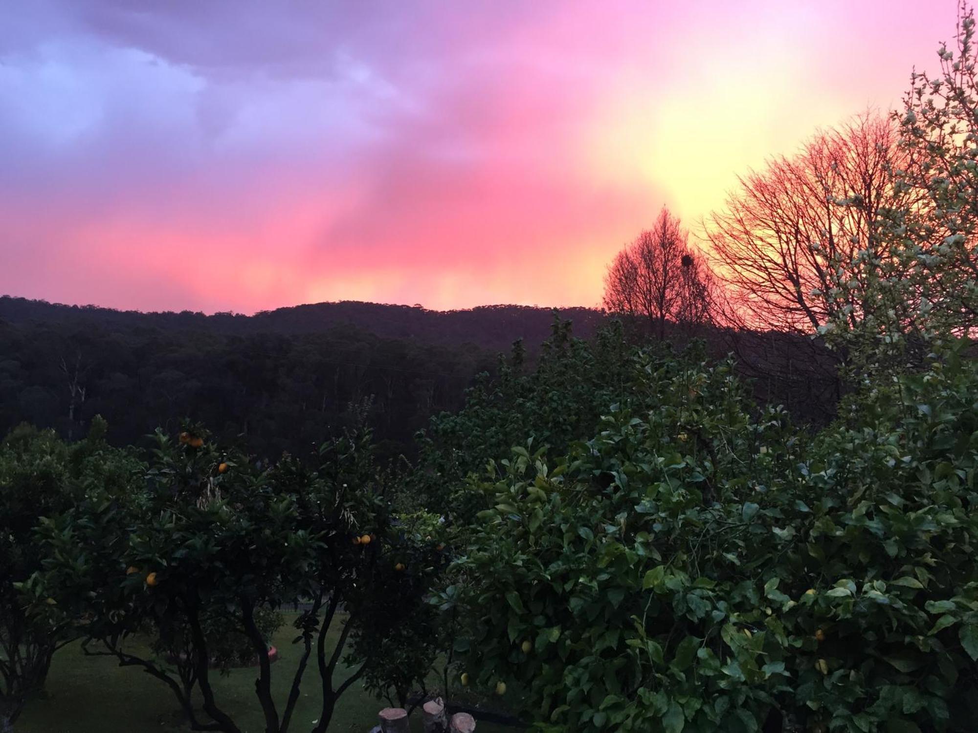 Noojee Getawayヴィラ エクステリア 写真